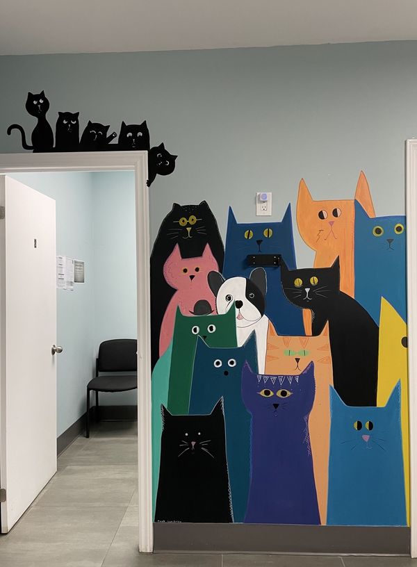 Cat Wall — Rosebank Animal Hospital — Pickering