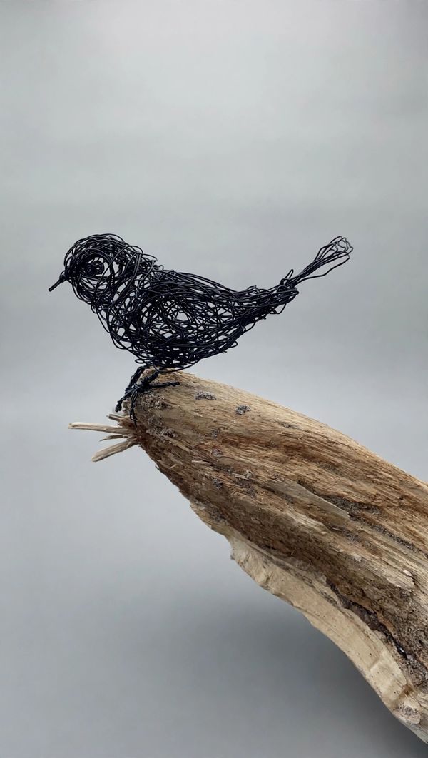 Bird at the Beach