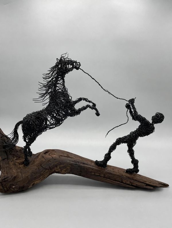 Horse Trainer (wide view)
